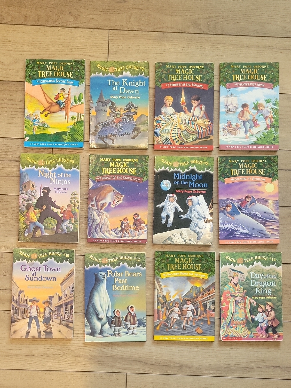 Lot of 12 Books from Magic Tree House #1-14 (missing books 6 & 11)